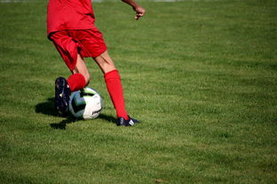 爱游戏app-中国篮球青年运动员选拔体系研究，中国篮球国家青年队选拔方式